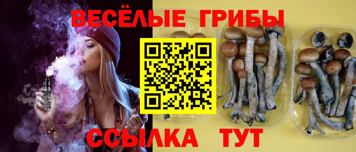 Галлюциногенные грибы мухоморы Бийск